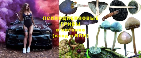 2c-b Заполярный