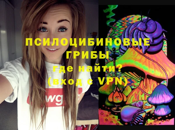 Альфа ПВП Зарайск