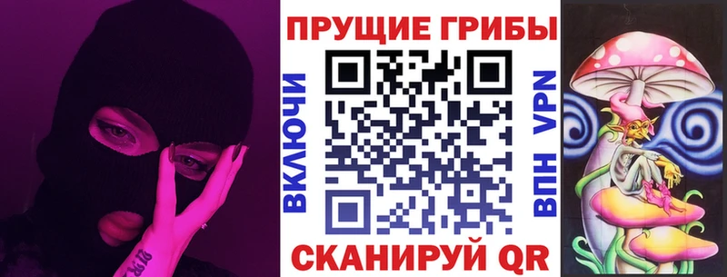кракен онион Певек Галлюциногенные грибы Psilocybe